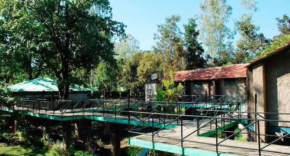 MPT White Tiger Forest Lodge, Bandhavgarh 4